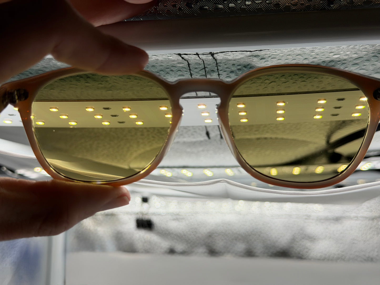 Oliver Peoples Finley Esq Sun 51mm OV 5298 SU Havana Brown / Photochromic 14374C Preowned