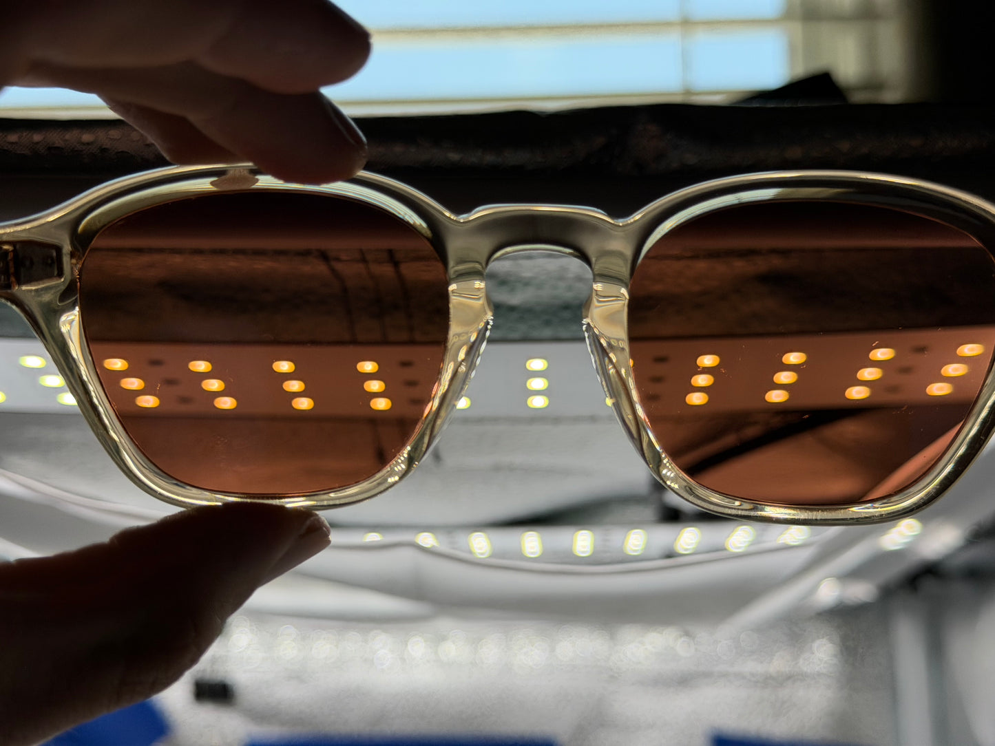 Oliver Peoples Peppe 48mm OV5517 SU 176653  Champagne / Persimmon Sunglasses Italy Preowned