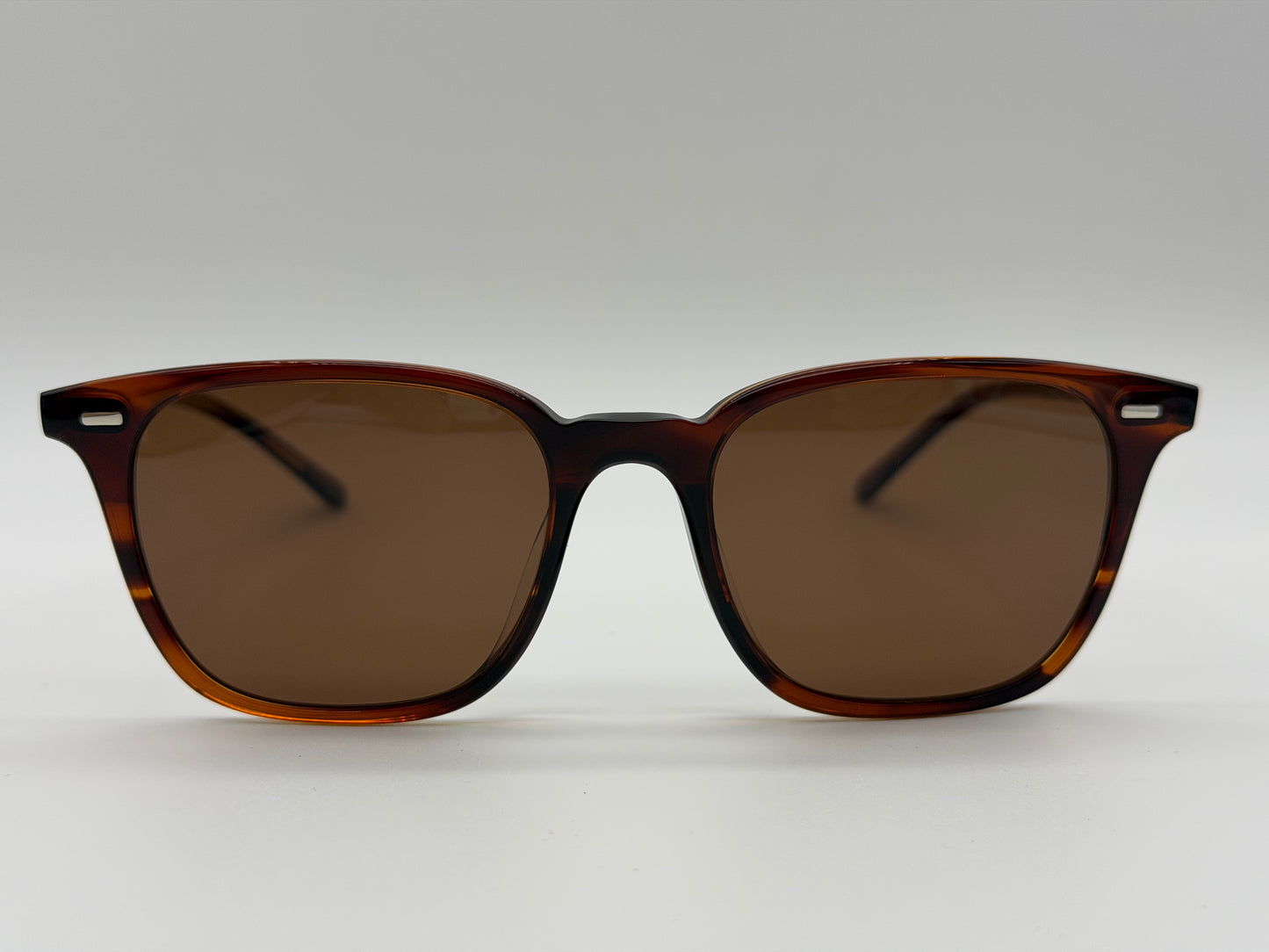 Oliver Peoples Laedin 52mm Morado Tortoise / Terra Polarized Crystal OV 5614 Japan NEW