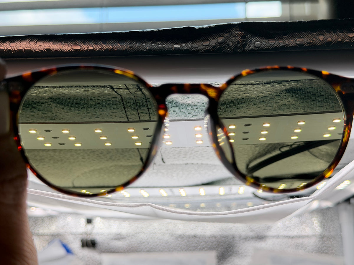 Oliver Peoples N.02 48mm Atago Tortoise / G-15 Crystal Only Collection Japan Missing Box