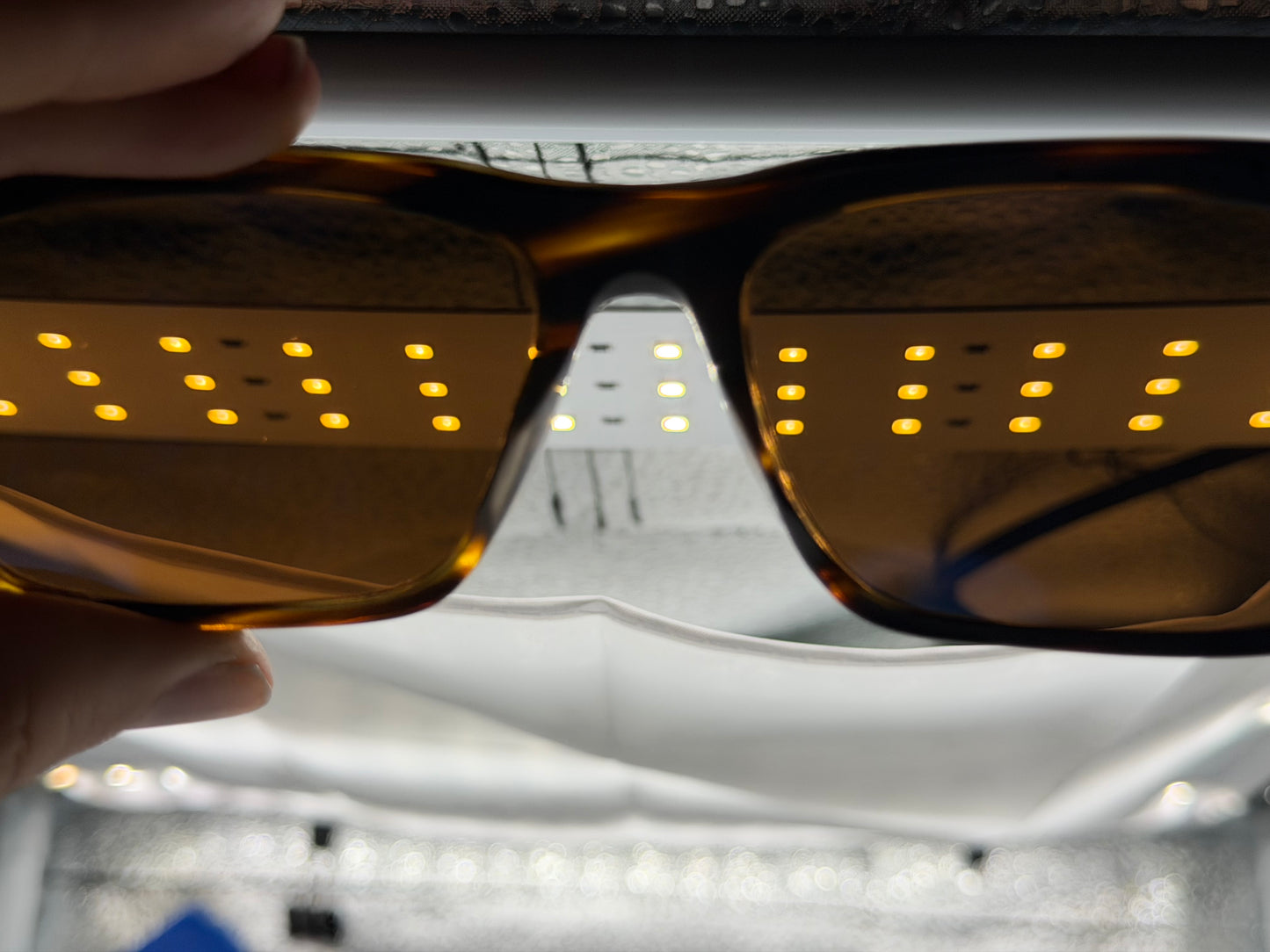 Oliver Peoples Brodsky 55mm OV 5322SU 1474N9 Semi-matte Cocobolo Italy Preowned