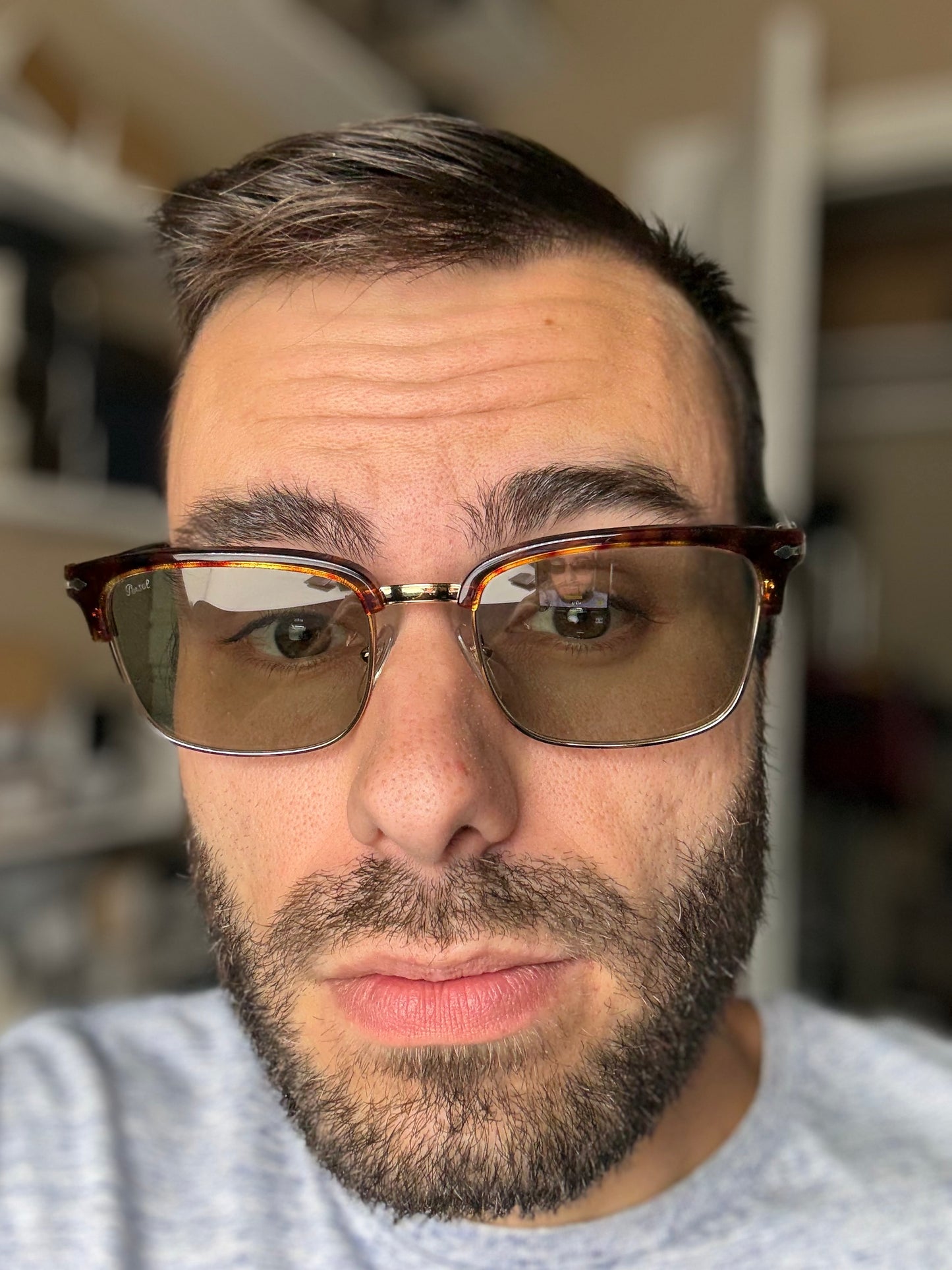 Persol PO 3327S 54mm Transitions Havana / Green 24 / GJ Italy NEW