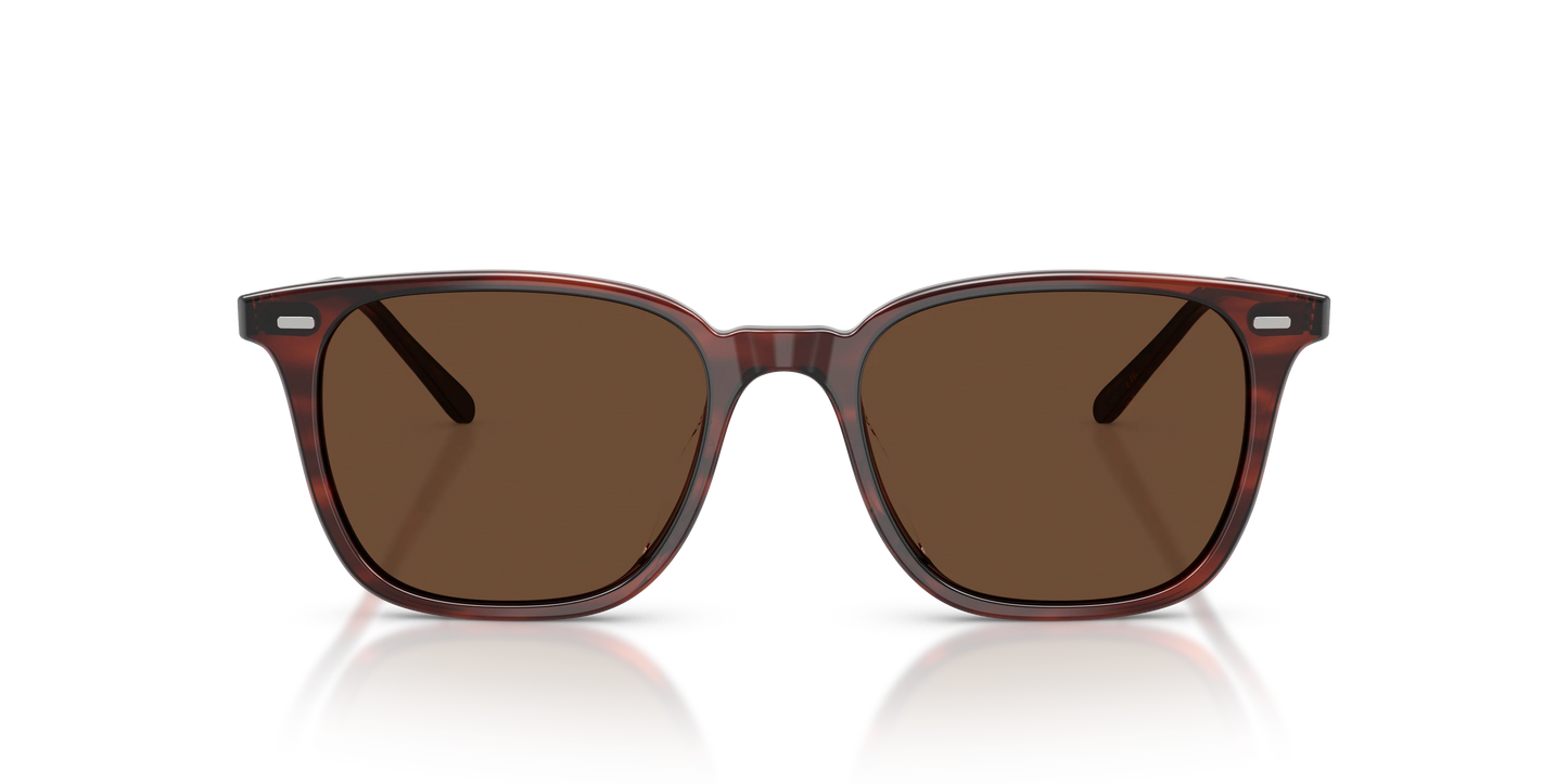 Oliver Peoples Laedin 52mm Morado Tortoise / Terra Polarized Crystal OV 5614 Japan NEW